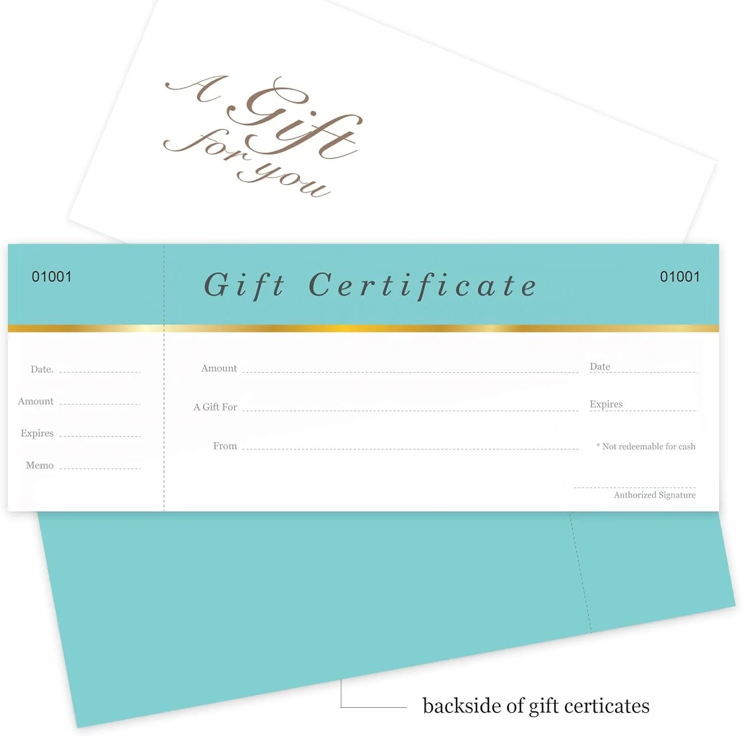 25 Set Aqua Blue Blank Gift Certificates with Matching Envelopes L283