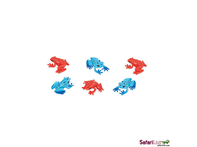 Poison Dart Frogs I2657