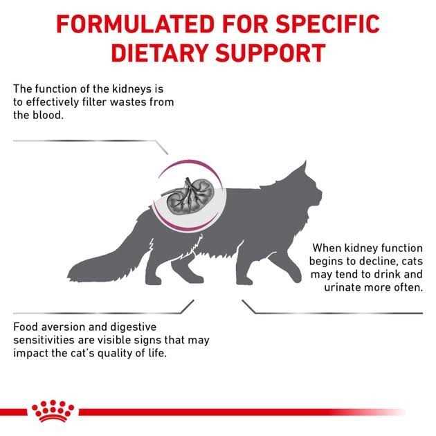 Veterinary Diet Feline Renal Support S Adult Dry Cat Food J234218