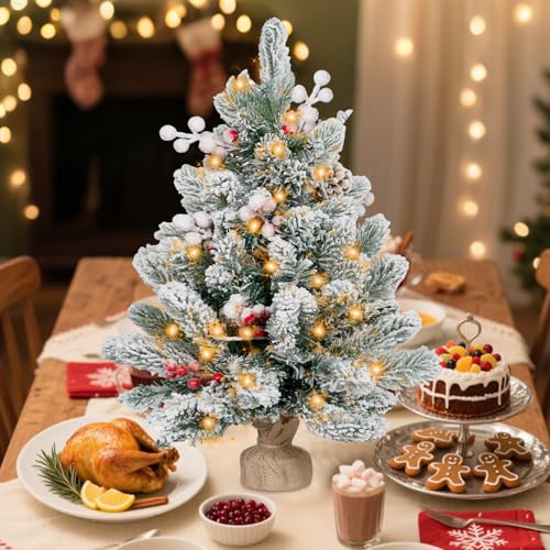2FT Pre-lit Mini Christmas Snow Flocked Tree with LED Lights V455