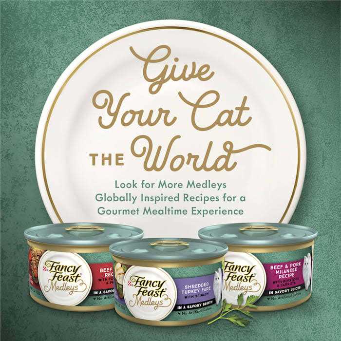 High Protein Wet Cat Food with Wild Alaskan Salmon and Garden Veggies in Sauce V433590