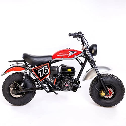 196cc Mini Bike with Front and Rear Brakes A24822