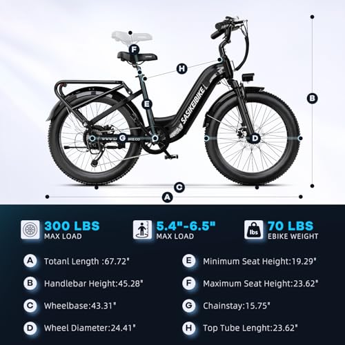 24" Fat Tire Electric Bike, 48V 20AH Removable Battery, 7 Speed G4254