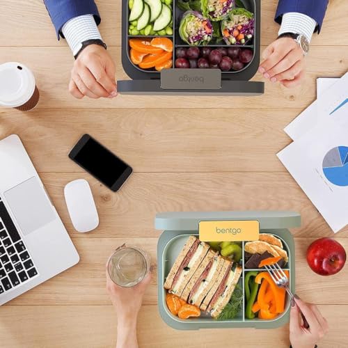 44oz BPA-Free Bento Lunch Box Q652