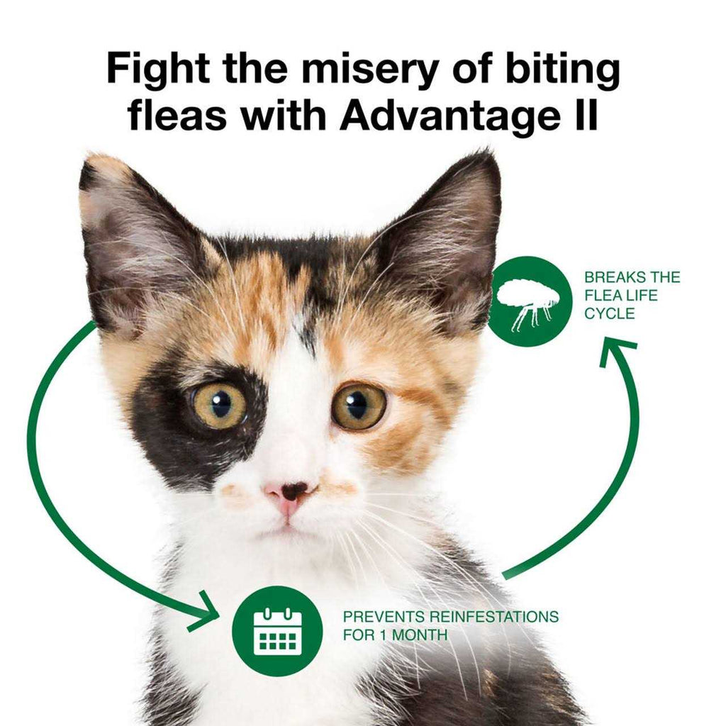Advantage II Flea Treatment Cats O864507