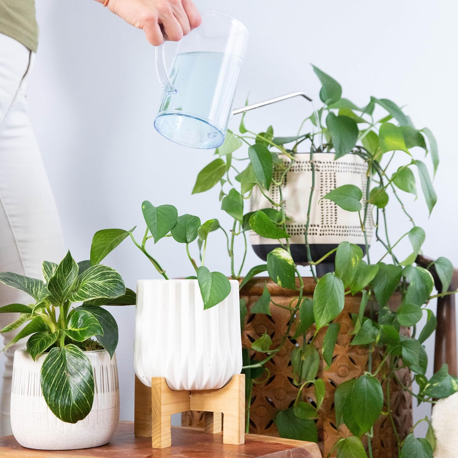 4 Tablets Self-Dissolving Plant Food H178997