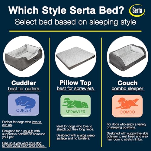 Slate Gray X-Large Orthopedic Dog Bed Y744