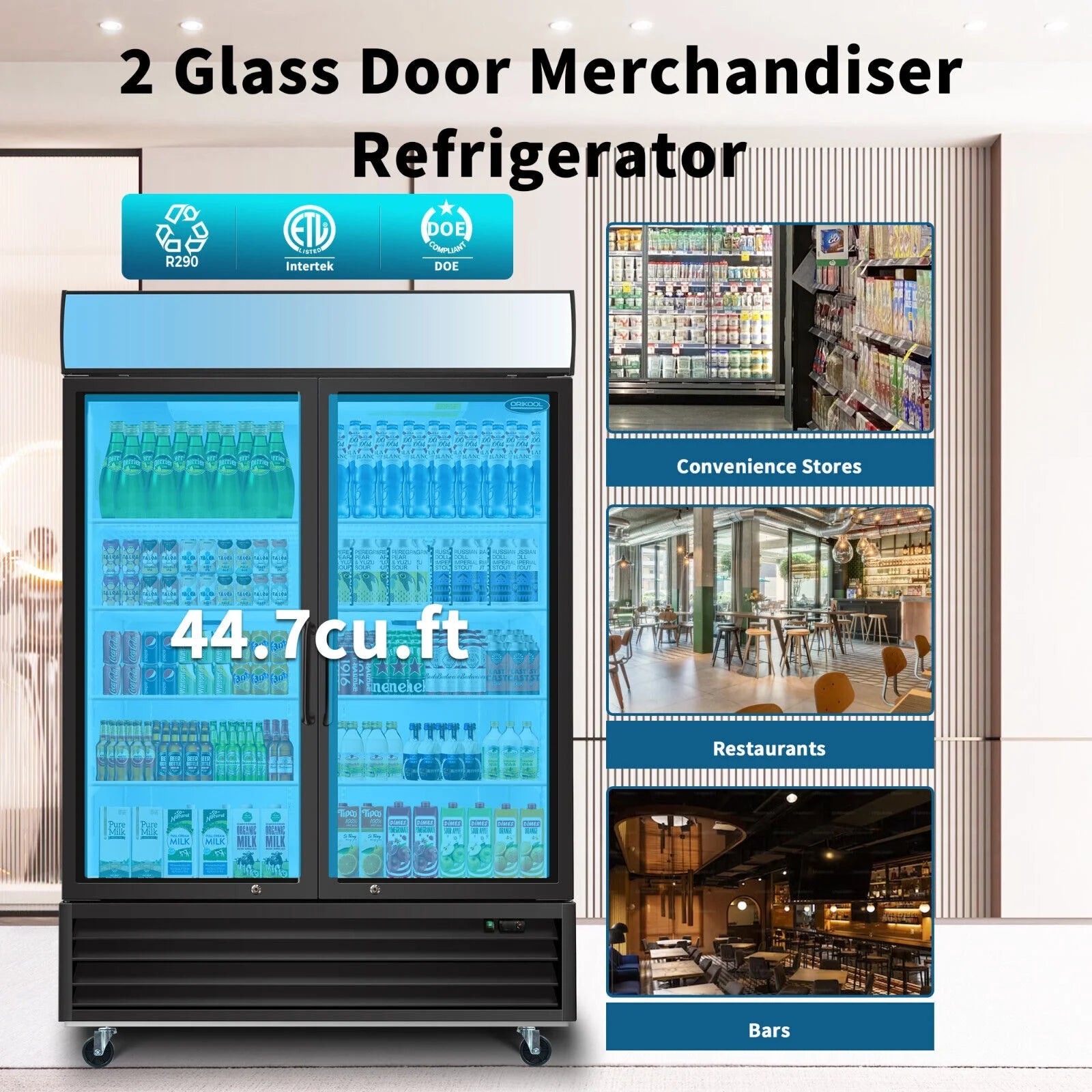 2 Glass Door Refrigerator Cooler G904