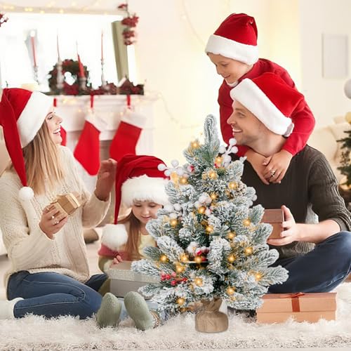 Flocked Artificial Mini Christmas Tree with Lights and Ornaments I63175