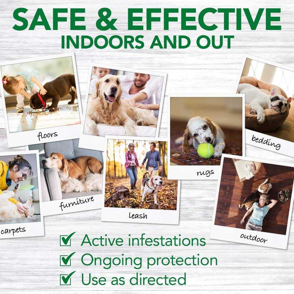 Flea Tick Home Spray T3191