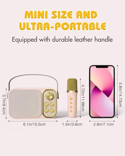 Mini Karaoke Machine with 2 Wireless Microphone, Portable Bluetooth Speaker M48929