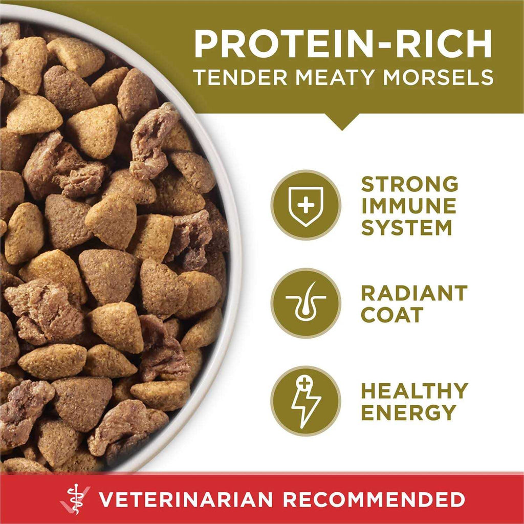 Natural Dry Dog Food Lamb Rice Formula M5483