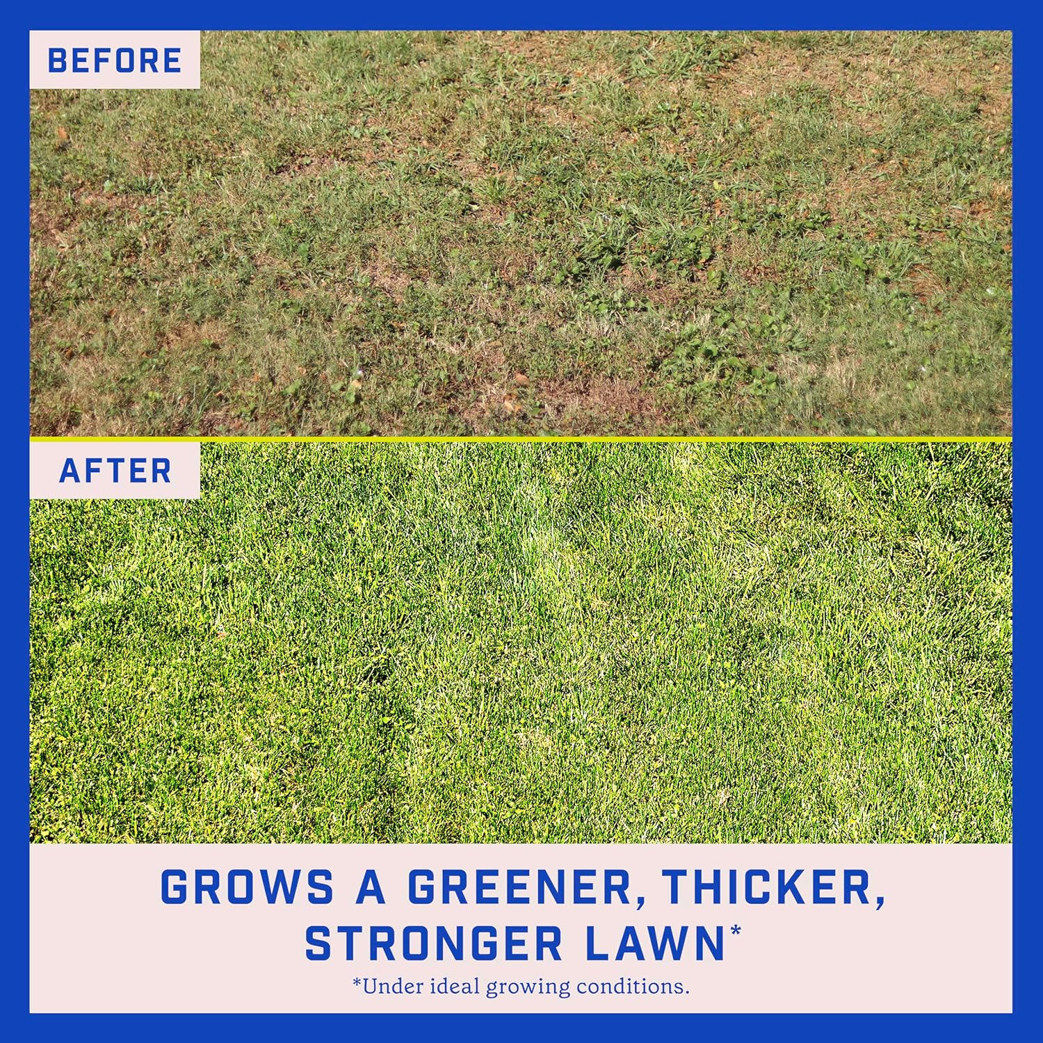 35 Pounds Grass Seed Mix H52573