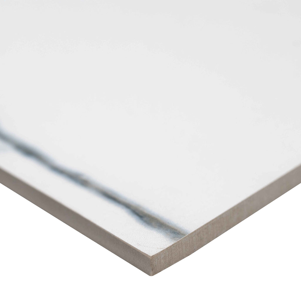 12 in. x 24 in. Polished Porcelain Floor And Wall Tile B897