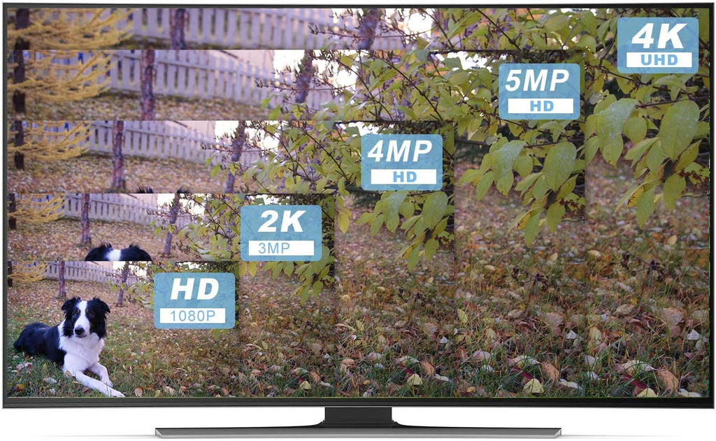 16-Channel PoE 4K Network Video Recorder NVR T739682