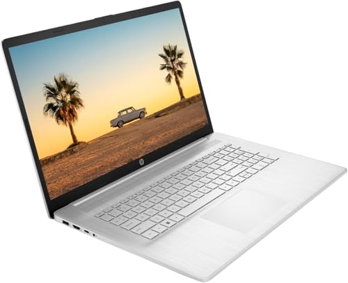 17.3" HD+ Display AMD Ryzen 5 7530U 8GB RAM 256GB SSD Windows 11 Pro Laptop B396239