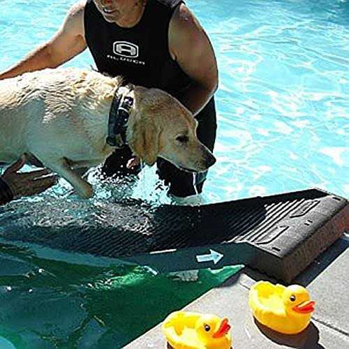 Pool Ramp For Dogs G733221