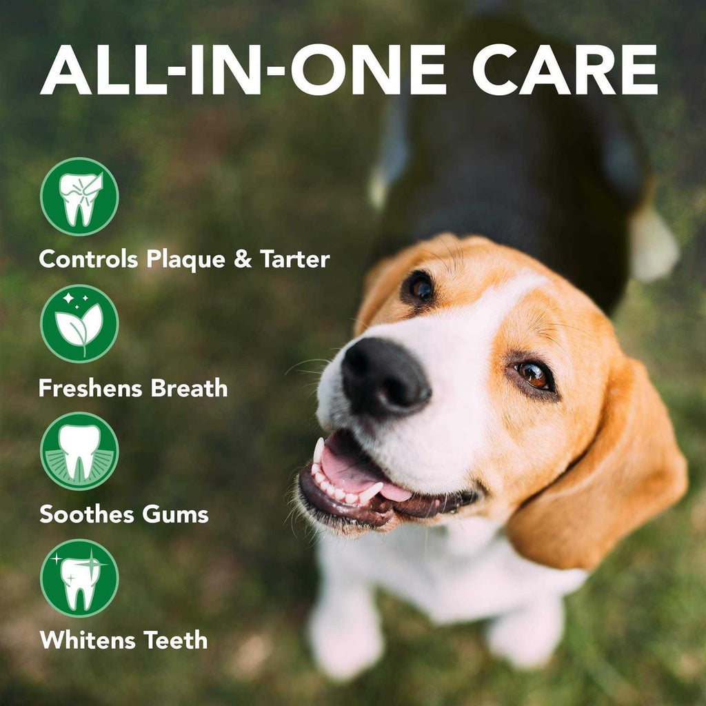 Enzymatic Toothpaste and Toothbrush Dog Dental Care Kit P6018