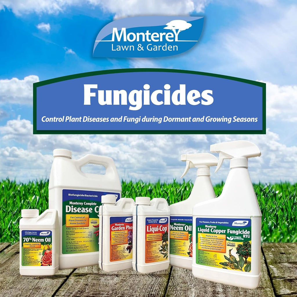 Liquid Copper Fungicide RTU - 32 oz B830