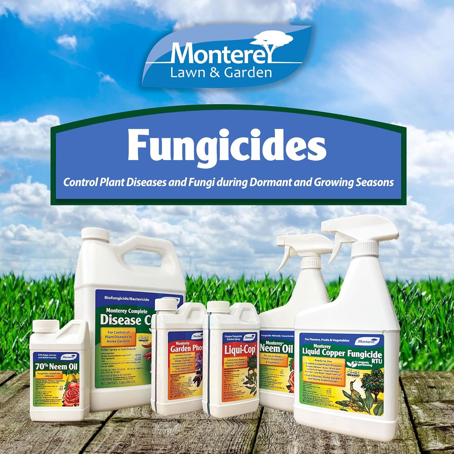 Liquid Copper Fungicide RTU - 32 oz B830