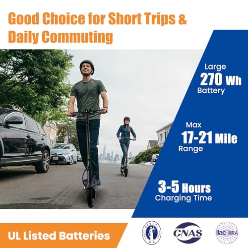 500W Electric Scooter with 8.5" Solid Tires V977