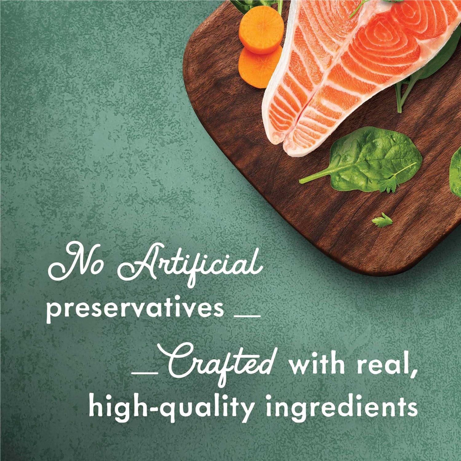 High Protein Wet Cat Food with Wild Alaskan Salmon and Garden Veggies in Sauce V433590