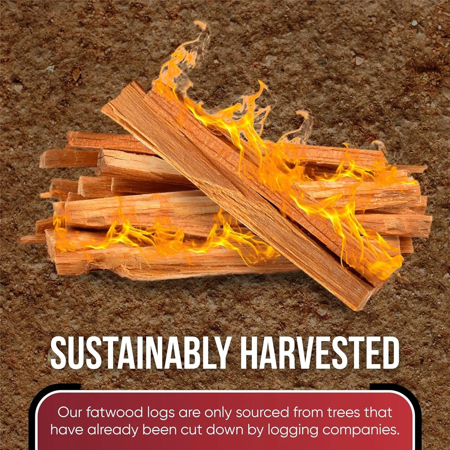 10lb Fatwood Fire Starter Pack D84385
