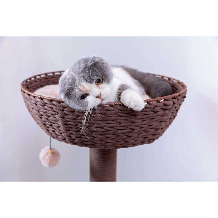 Pharaoh and Brown Cat Tree C25991