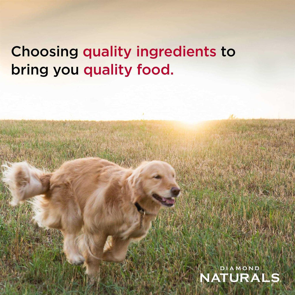 Lamb Meal & Rice Adult Dog Food B951192