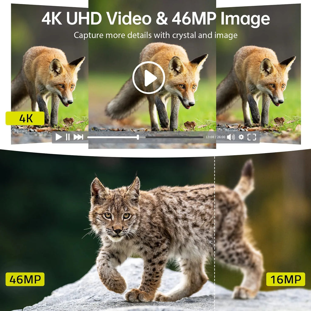 4K 30fps 46MP Night Vision Waterproof IP66 Motion Activated Trail Camera T310345