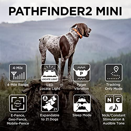 GPS Dog Tracker e Collar 9 Mile Long Range LED Light Waterproof J838