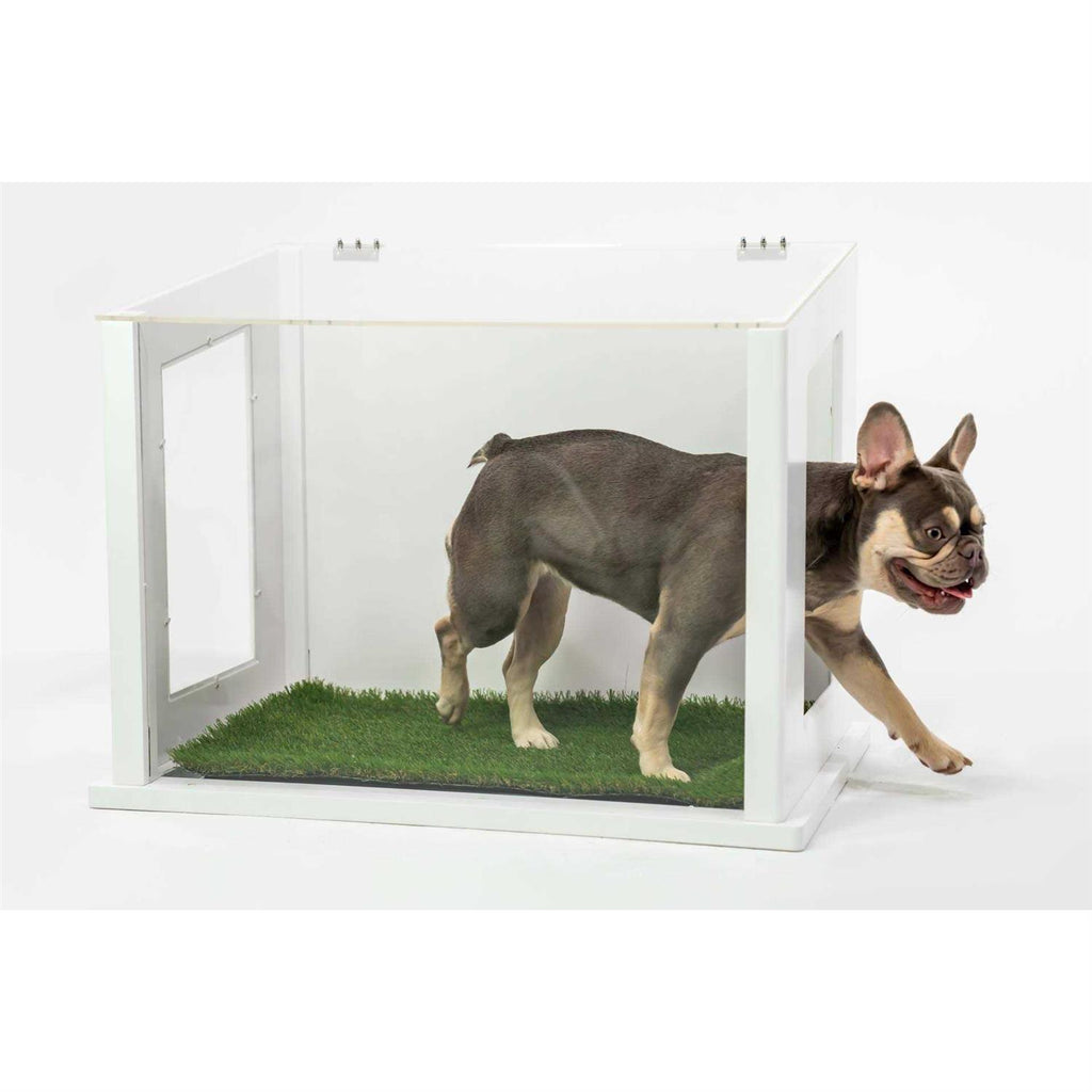 Pet Potty P10743