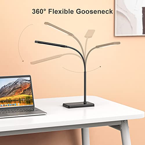 Clip on Table Lamp 3 Color Modes 10 Brightness Dimmable Reading Lamp 360° Rotatable Metal Gooseneck Desk Lamp U26853