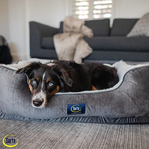 Slate Gray X-Large Orthopedic Dog Bed Y744