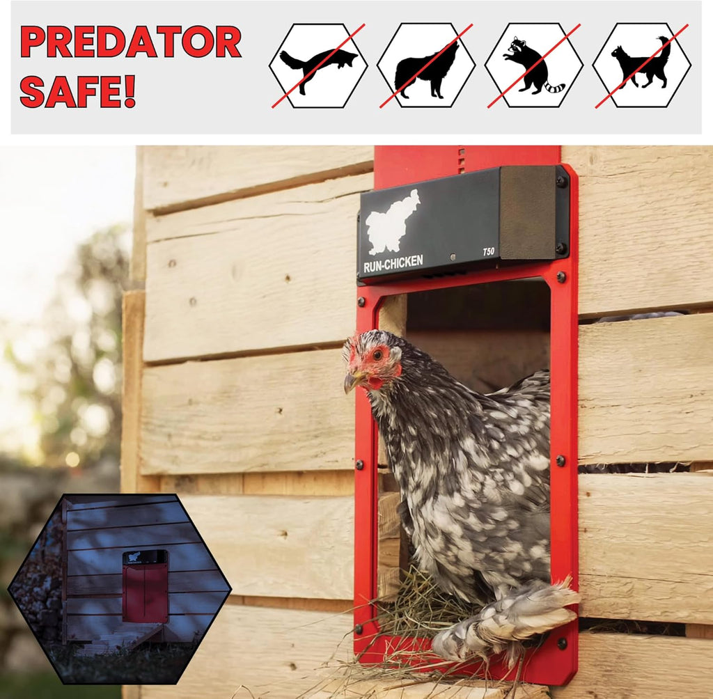 Red Chicken Door W8273