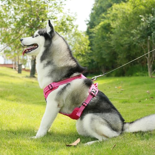 Purple Lattice Adjustable No-Pull Dog Harness J58677